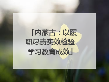 内蒙古：以履职尽责实效检验学习教育成效
