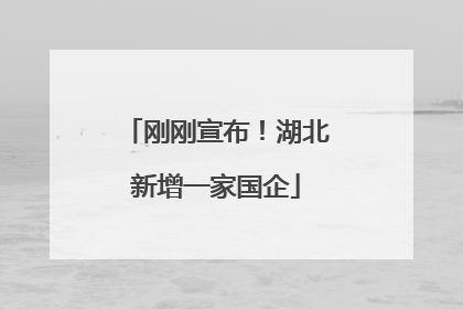 刚刚宣布！湖北新增一家国企