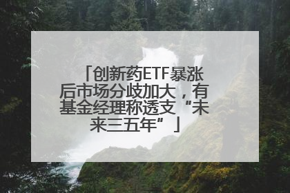 创新药ETF暴涨后市场分歧加大，有基金经理称透支“未来三五年”