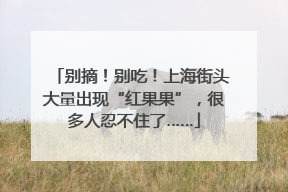 别摘！别吃！上海街头大量出现“红果果”，很多人忍不住了……