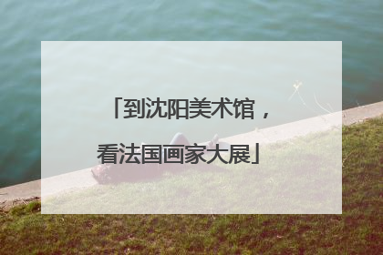 到沈阳美术馆，看法国画家大展