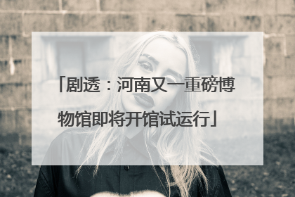 剧透：河南又一重磅博物馆即将开馆试运行