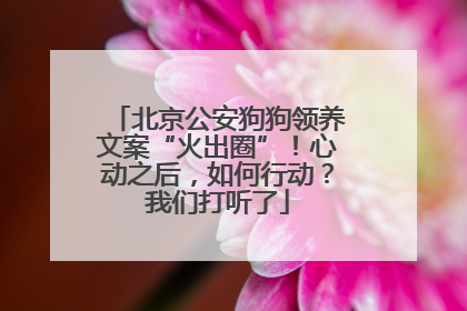 北京公安狗狗领养文案“火出圈”！心动之后，如何行动？我们打听了