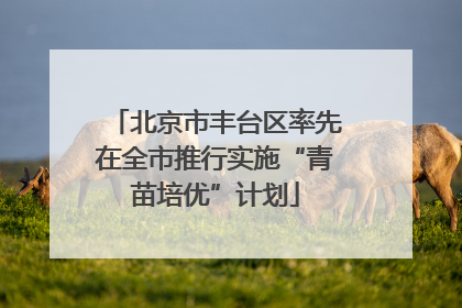 北京市丰台区率先在全市推行实施“青苗培优”计划