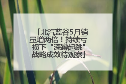 北汽蓝谷5月销量增两倍！持续亏损下“深蹲起跳”战略成效待观察