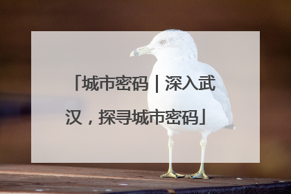 城市密码｜深入武汉，探寻城市密码