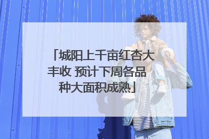 城阳上千亩红杏大丰收 预计下周各品种大面积成熟