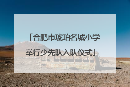 合肥市琥珀名城小学举行少先队入队仪式