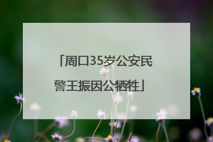 周口35岁公安民警王振因公牺牲