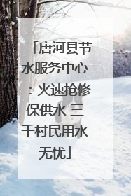 唐河县节水服务中心：火速抢修保供水 三千村民用水无忧