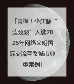 喜报！小江豚“蓝叒叒”入选2025年网络文明国际交流互鉴城市典型案例