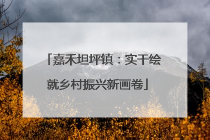 嘉禾坦坪镇：实干绘就乡村振兴新画卷