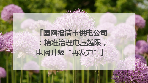 国网福清市供电公司：精准治理电压越限，电网升级“再发力”