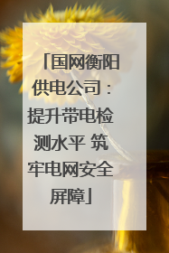 国网衡阳供电公司：提升带电检测水平 筑牢电网安全屏障