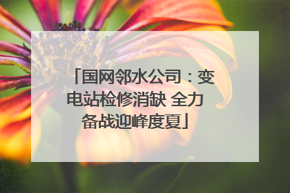 国网邻水公司：变电站检修消缺 全力备战迎峰度夏