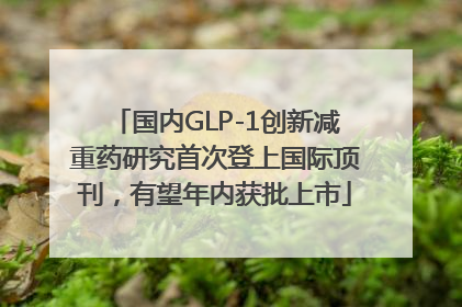 国内GLP-1创新减重药研究首次登上国际顶刊，有望年内获批上市
