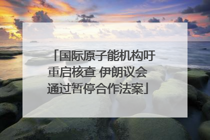 国际原子能机构吁重启核查 伊朗议会通过暂停合作法案