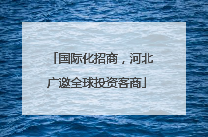 国际化招商，河北广邀全球投资客商