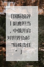 国际锐评丨挺膺担当，中俄并肩对世界负起“特殊责任”