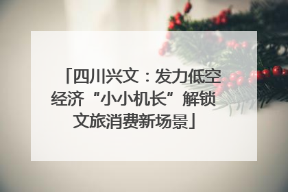 四川兴文：发力低空经济“小小机长”解锁文旅消费新场景