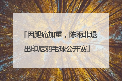因腿痛加重，陈雨菲退出印尼羽毛球公开赛