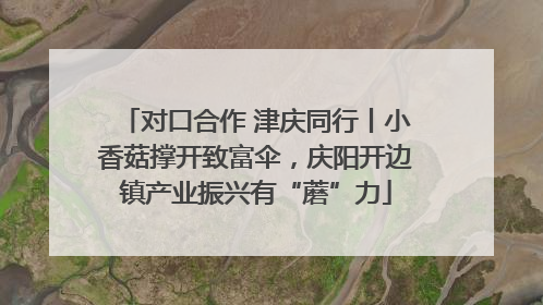 对口合作 津庆同行丨小香菇撑开致富伞，庆阳开边镇产业振兴有“蘑”力