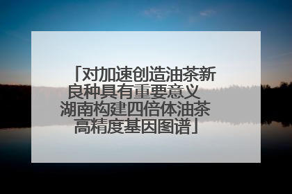 对加速创造油茶新良种具有重要意义 湖南构建四倍体油茶高精度基因图谱