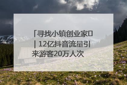 寻找小镇创业家㊱｜12亿抖音流量引来游客20万人次 “襄阳许三多”爆改家乡打造网红村