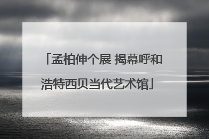 孟柏伸个展 揭幕呼和浩特西贝当代艺术馆