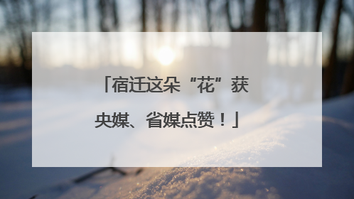 宿迁这朵“花”获央媒、省媒点赞！