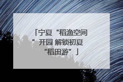 宁夏“稻渔空间”开园 解锁初夏“稻田游”