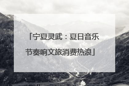 宁夏灵武：夏日音乐节奏响文旅消费热浪