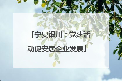 宁夏银川：党建活动促安居企业发展