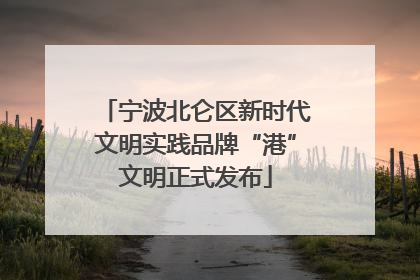 宁波北仑区新时代文明实践品牌“港”文明正式发布