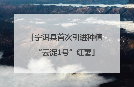 宁洱县首次引进种植“云淀1号”红薯