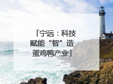 宁远：科技赋能“智”造蛋鸡鸭产业
