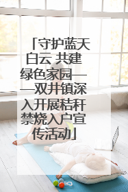 守护蓝天白云 共建绿色家园——双井镇深入开展秸秆禁烧入户宣传活动