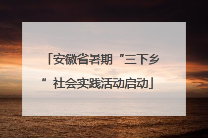 安徽省暑期“三下乡”社会实践活动启动