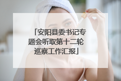 安阳县委书记专题会听取第十二轮巡察工作汇报