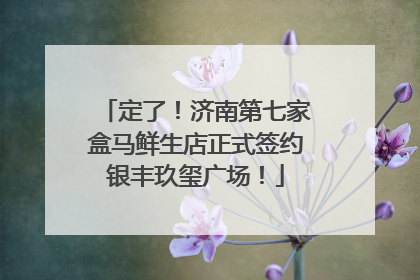定了！济南第七家盒马鲜生店正式签约银丰玖玺广场！