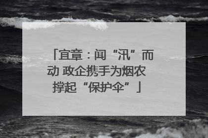 宜章：闻“汛”而动 政企携手为烟农撑起“保护伞”