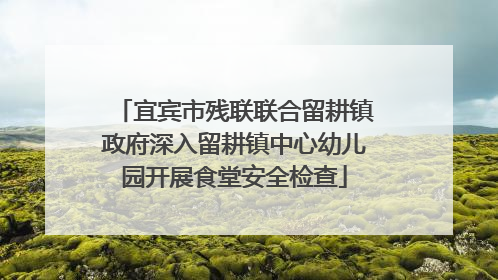宜宾市残联联合留耕镇政府深入留耕镇中心幼儿园开展食堂安全检查