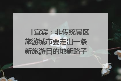 宜宾：非传统景区旅游城市要走出一条新旅游目的地新路子｜话锦绣·说安逸