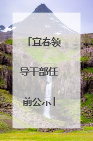 宜春领导干部任前公示