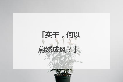 实干，何以蔚然成风？