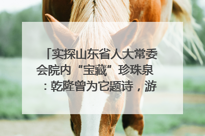 实探山东省人大常委会院内“宝藏”珍珠泉：乾隆曾为它题诗，游客无需预约免费游览