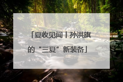 夏收见闻丨孙洪旗的“三夏”新装备