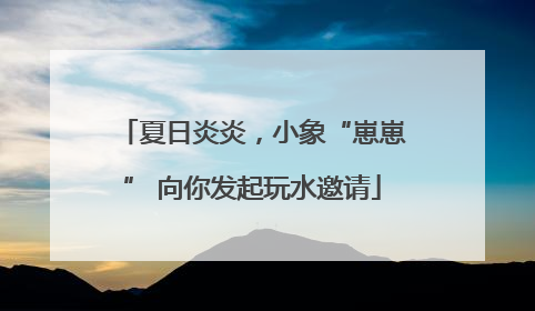夏日炎炎，小象“崽崽” 向你发起玩水邀请