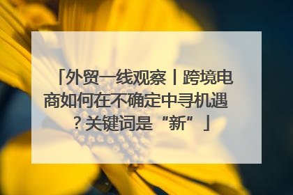 外贸一线观察丨跨境电商如何在不确定中寻机遇？关键词是“新”