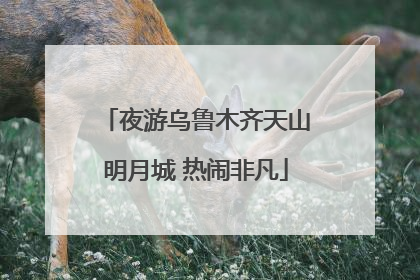 夜游乌鲁木齐天山明月城 热闹非凡